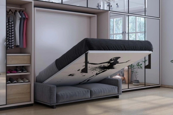 A murphy Bed that doubles up as a Sofa when not in use